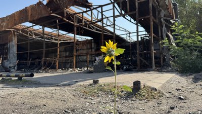 Обстріли на Донеччині