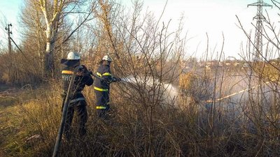 У Смоліному Кіровоградської області у вогні загинули дикі тварини
