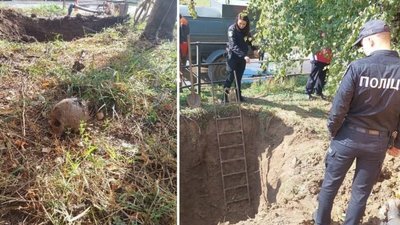 Кістки та череп: на Полтавщині досліджуватимуть знайдені людські рештки