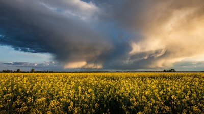 На Миколаївщині у п'ятницю прогнозують опади