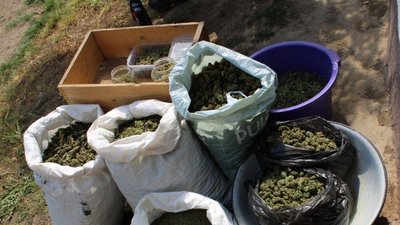 Вилучили наркотики: на Вінниччині у чоловіка знайшли 11 кілограм канабісу