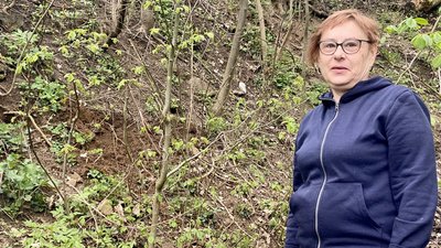 Дикий кабан у Шодуарівському парку