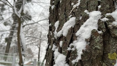 Погода на Рівненщині на 23 січня 2026 року