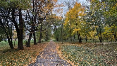 Осіння алея, вкрита опалим листям, Хмельницький, 23 жовтня 2026 року
