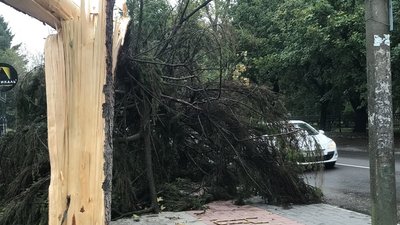 Франківськ після буревію: розчищають парки, лагодять дахи Франківськ після буревію: розчищають парки, лагодять дахи