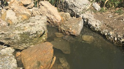 Вміст хімічних речовин у воді в районі Куяльницького лиману перевищує норму в п’ять разів Вміст хімічних речовин у воді в районі Куяльницького лиману перевищує норму в п’ять разів