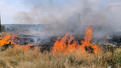 На Миколаївщині масштабна пожежа — вогонь підступає до дачних будинків На Миколаївщині масштабна пожежа — вогонь підступає до дачних будинків
