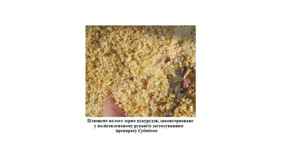 Біологічний консервант «Субтікон» Біологічний консервант «Субтікон»