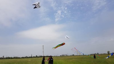Кайт-флаїнг - перший в історії кубок України відбувся у Херсоні