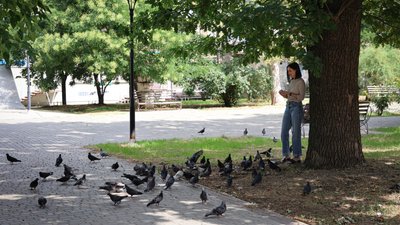 Херсон, погода, природа, місто, люди, вулиця, літо, сквер, голуби