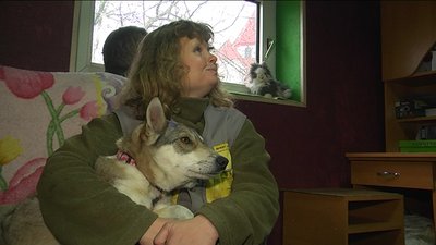 Ветеринари лікують собаку, яку побили підлітки на Львівщині Ветеринари лікують собаку, яку побили підлітки на Львівщині