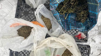Наркотичні речовини Наркотичні речовини