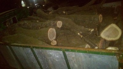 На Херсонщині поліцейські вилучили у лісового браконьєра майже 3 кубометри дубу На Херсонщині поліцейські вилучили у лісового браконьєра майже 3 кубометри дубу