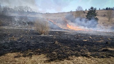 Паліїв виявляють за допомогою дронів: впродовж доби оштрафували 4 закарпатців за спалювання сухостою Паліїв виявляють за допомогою дронів: впродовж доби оштрафували 4 закарпатців за спалювання сухостою