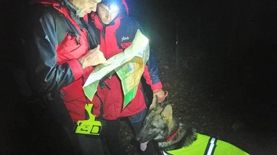 Пішов у ліс по гриби. У Чернівецькій області другу добу шукають чоловіка