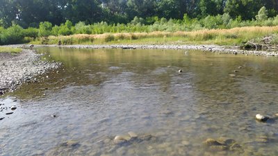 На Прикарпатті критично обміліли п'ять великих річок — синоптикиня Тетяна Атаманюк На Прикарпатті критично обміліли п'ять великих річок — синоптикиня Тетяна Атаманюк