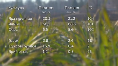 Посівна кампанія на Тернопільщині