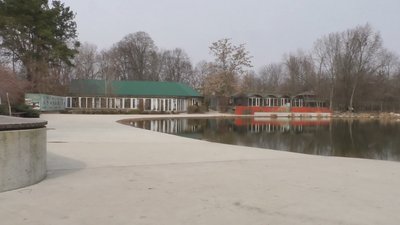 зоопарк живе своїм життям зоопарк живе своїм життям