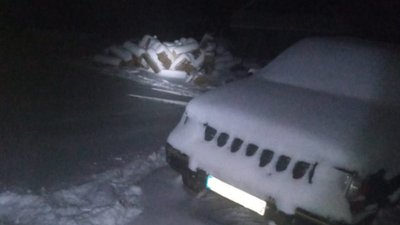 Погрожував підпалити своє авто та поліції: на Волині затримали крадія лісу