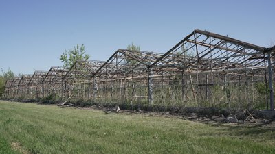 зміївська овочева фабрика зміївська овочева фабрика