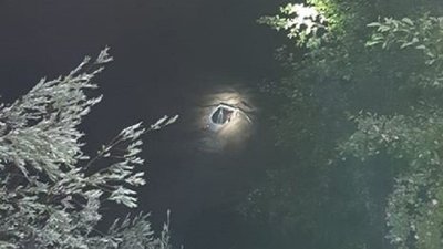 На Прикарпатті водолази шукають людей, які, ймовірно, були у затонулому авто (оновлено) На Прикарпатті водолази шукають людей, які, ймовірно, були у затонулому авто (оновлено)