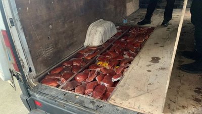 1,5 тонни контрабандного сиру та м’яса вилучили прикордонники на Львівщині