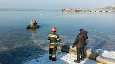 Крижана пастка: на Одещині рятувальники звільнили лебедів із замерзлих лиманів Крижана пастка: на Одещині рятувальники звільнили лебедів із замерзлих лиманів