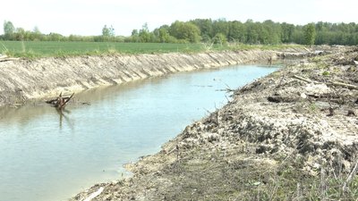 Вирощують картоплю та відновлюють систему меліорації: історія фермерського господарства Вирощують картоплю та відновлюють систему меліорації: історія фермерського господарства