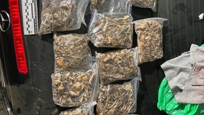 Миколаївські поліцейські вилучили у чоловіка партію психотропів і канабісу на мільйон гривень Миколаївські поліцейські вилучили у чоловіка партію психотропів і канабісу на мільйон гривень