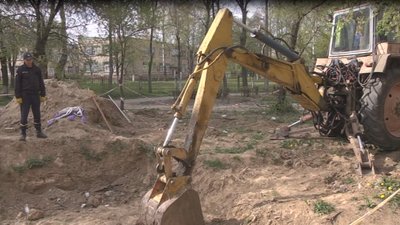 Врятовані у Луцьку цуценята почуваються добре, - Оксана Богданюк Врятовані у Луцьку цуценята почуваються добре, - Оксана Богданюк