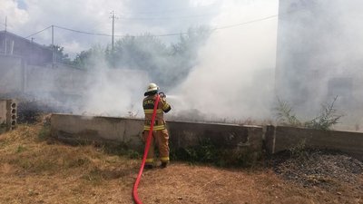 За добу на Херсонщині 15 разів горіло в екосистемах За добу на Херсонщині 15 разів горіло в екосистемах