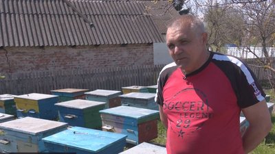 Бджолярі розповіли, чи буде Черкащина з медом