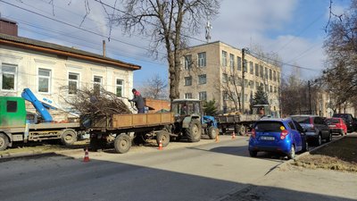 Аварійні дерева у Полтаві: скільки їх та що планують робити Аварійні дерева у Полтаві: скільки їх та що планують робити