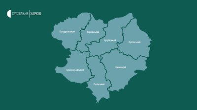 Вибори у районні ради: чому не призначають у що буде, якщо і не призначать Вибори у районні ради: чому не призначають у що буде, якщо і не призначать