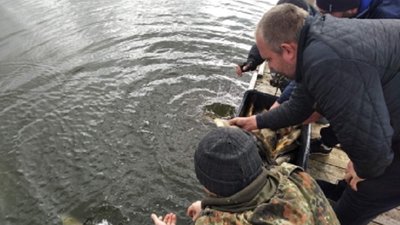 Білий амур та короп оселилися у волинському озері Білий амур та короп оселилися у волинському озері