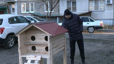 котобудинки котобудинки