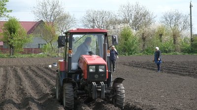 Шкільні городи Шкільні городи