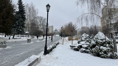 Житомир, погода, природа, січень 2026 року