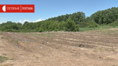 Місцевість, на якій висаджують дуби. Поле між селами Малий Тростянець та Вища Вільшана, Щербанівська громада. Полтавська область Місцевість, на якій висаджують дуби. Поле між селами Малий Тростянець та Вища Вільшана, Щербанівська громада. Полтавська область