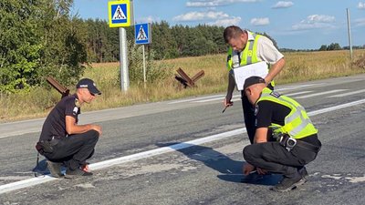 Автівка з'їхала у кювет та перекинулася: на Житомирщині у ДТП травмувалися двоє киян Автівка з'їхала у кювет та перекинулася: на Житомирщині у ДТП травмувалися двоє киян