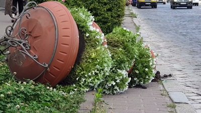 "Нашу працю з лайном змішали". У Кропивницькому вночі перекинули квіткові чаші, які місяць тому поставив "Благоустрій" "Нашу працю з лайном змішали". У Кропивницькому вночі перекинули квіткові чаші, які місяць тому поставив "Благоустрій"