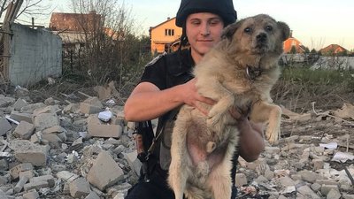 У Сумах російська ракета влучила в приватні будинки, на місці працюють рятувальники У Сумах російська ракета влучила в приватні будинки, на місці працюють рятувальники