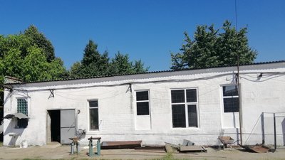 Котовський виноробний завод на Одещині планують здати в оренду