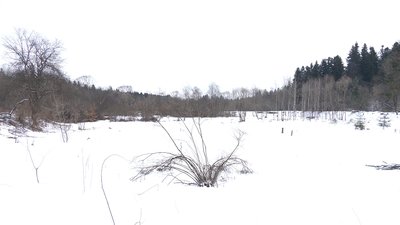 КУБАЇВКА КУБАЇВКА