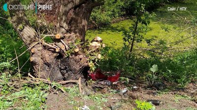 дтп рівне дтп рівне