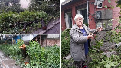 Дерева, повалені на будинки, подвір’я та тротуари. Наслідки негоди у Кропивницькому