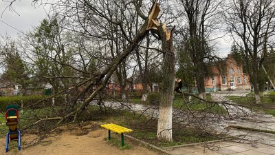 На півночі Одещини вирувала негода: пошкоджені будівлі та повалені дерева