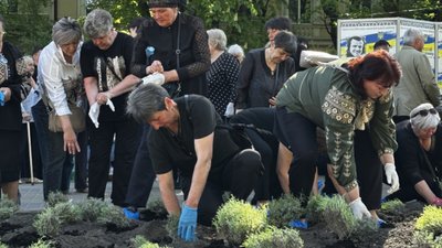 матері бійців, клумба, квіти