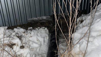 На Волині розслідують справу щодо зливу нечистот з птахофабрики На Волині розслідують справу щодо зливу нечистот з птахофабрики