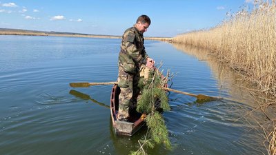 На водоймах Миколаївщини встановлюють штучні нерестовища